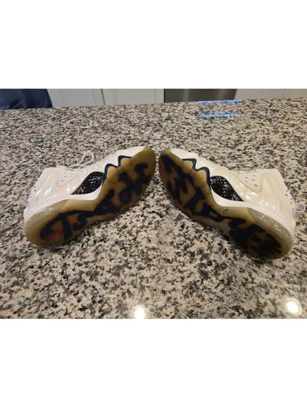 Nike Barkley Posite USA Men's Size 10